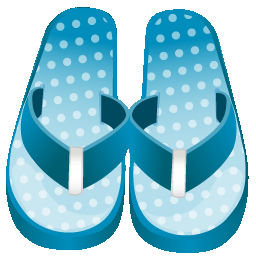 Flip Flop